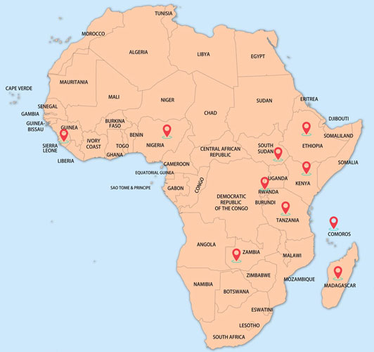tesla-in-africa_countries